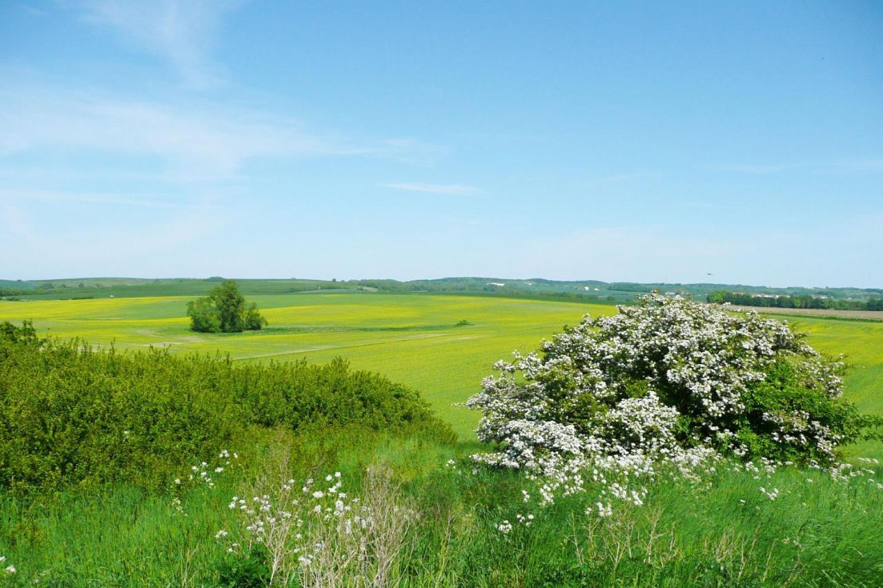 Ferienwohnung Mit Balkon Und Meerblick - Ferienresidenz Zwei Bodden Fewo 1-4 Lietzow Esterno foto